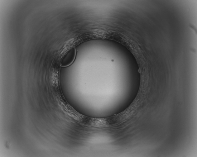 X0000100960768200806241527