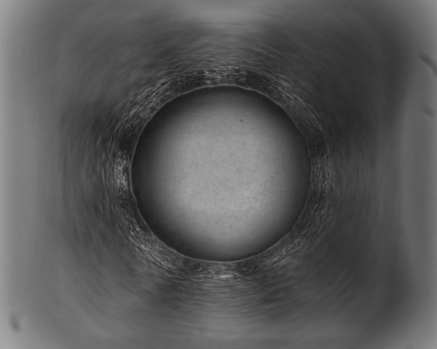 X0000100960770200806241526