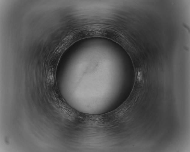X0000100960771200806241526
