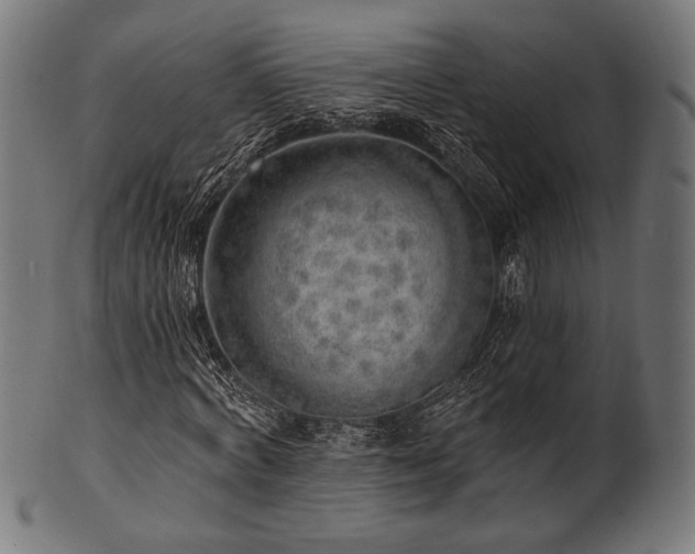 X0000100960772200806241526