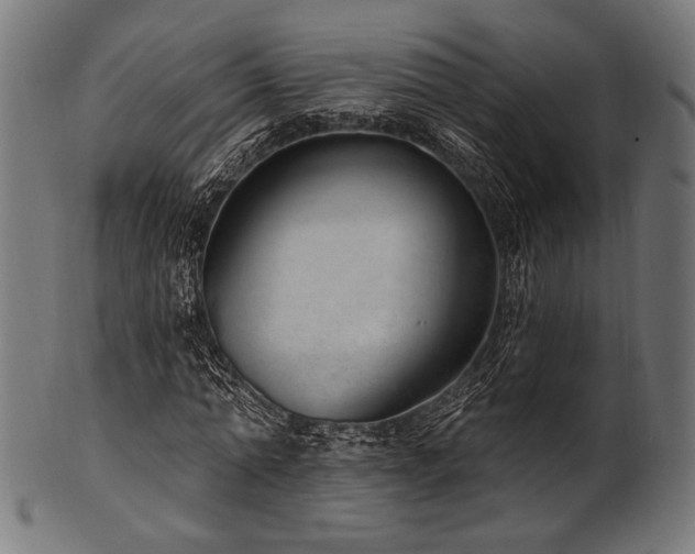 X0000100960774200806241526