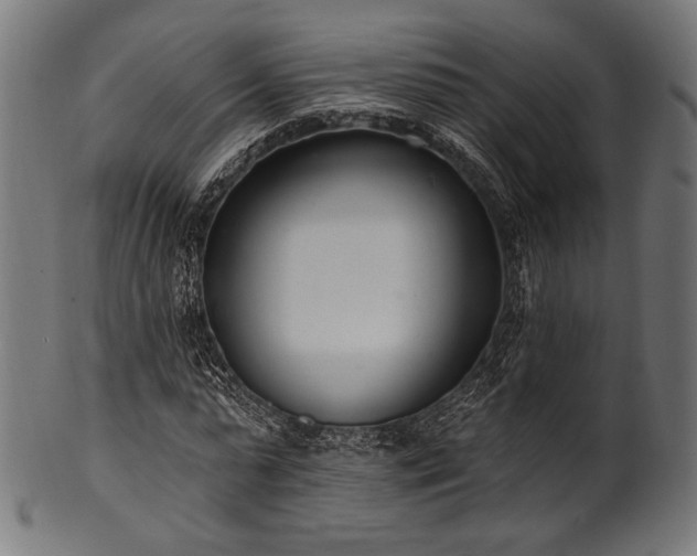 X0000100960775200806241526