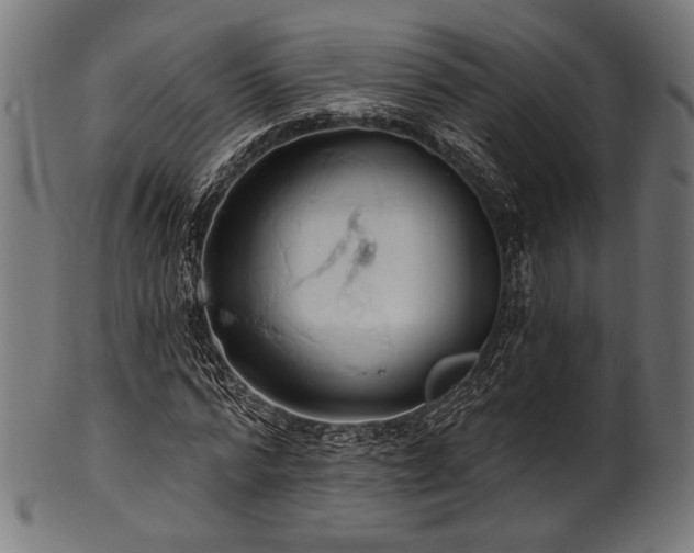 X0000100960776200806241526