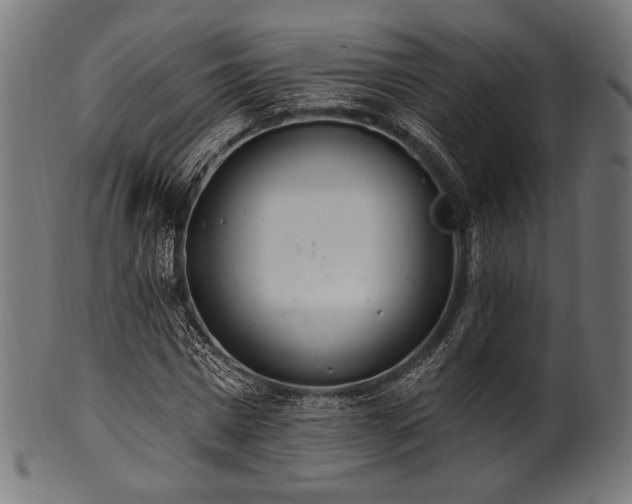 X0000100960777200806241526