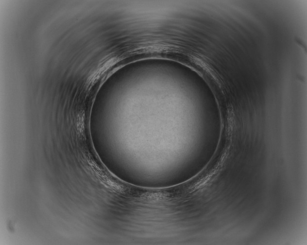 X0000100960778200806241526