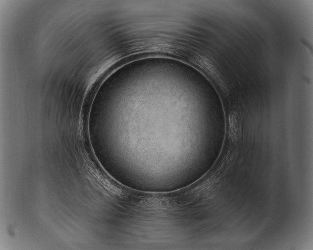 X0000100960780200806241526