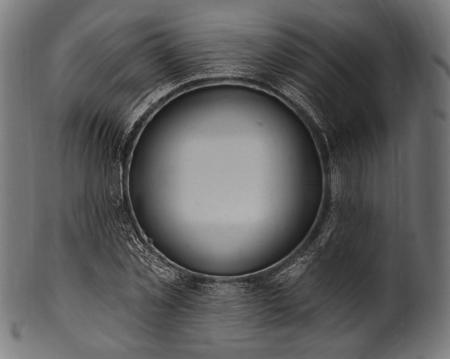X0000100960781200806241526