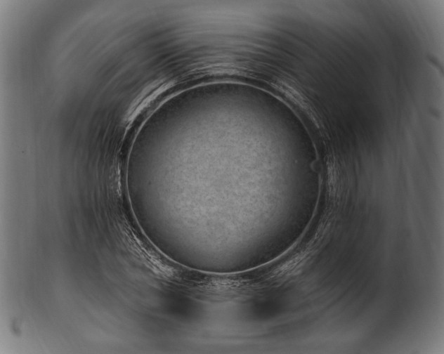 X0000100960782200806241526