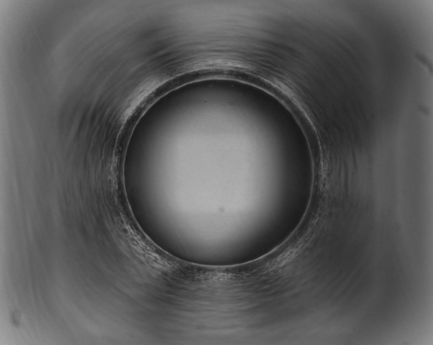 X0000100960783200806241526
