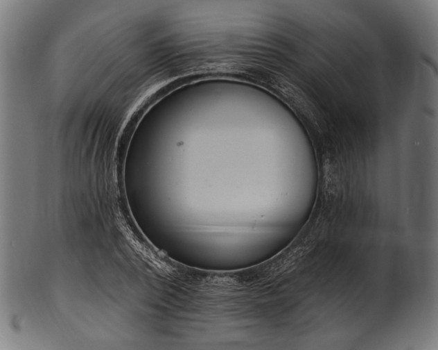 X0000100960784200806241526