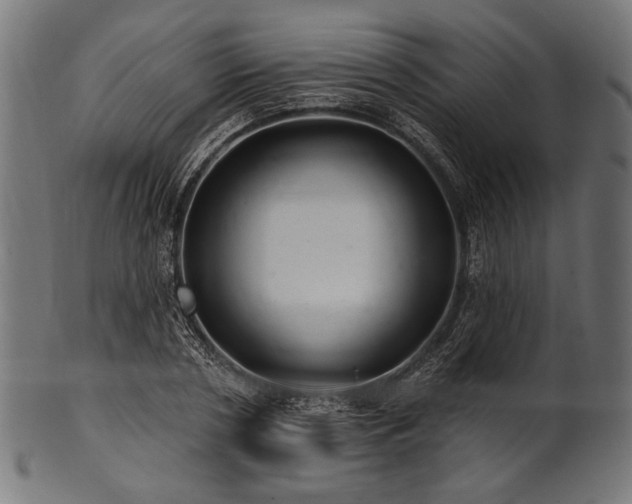 X0000100960786200806241526