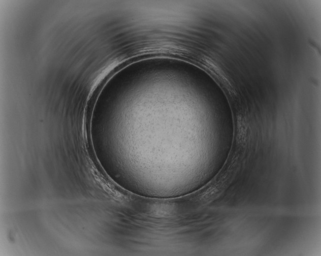 X0000100960788200806241526