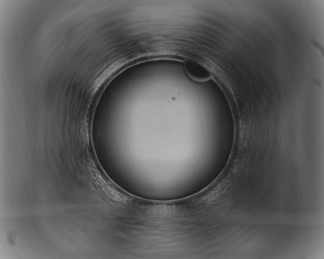 X0000100960789200806241526