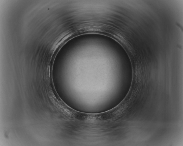 X0000100960790200806241526