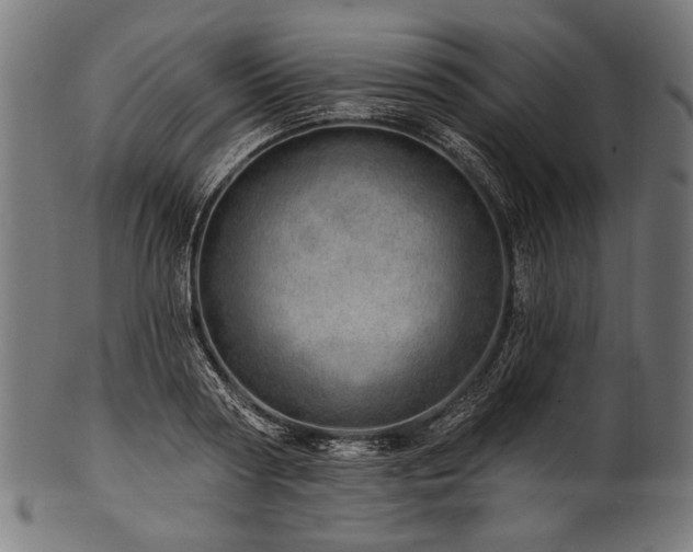 X0000100960794200806241526