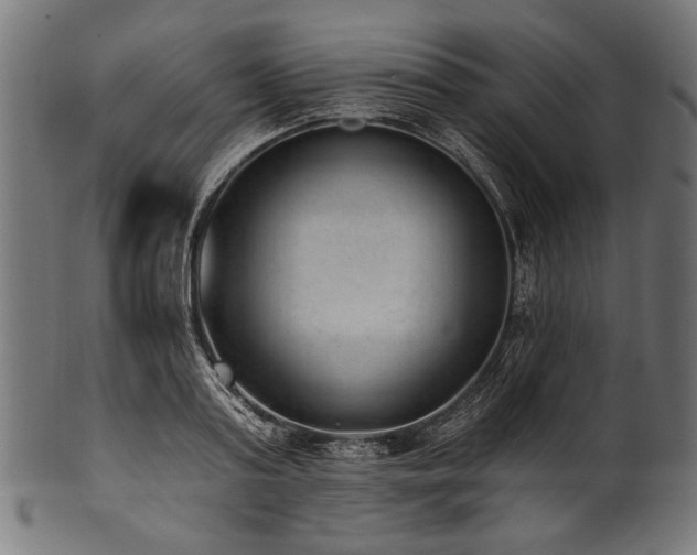 X0000100960795200806241526