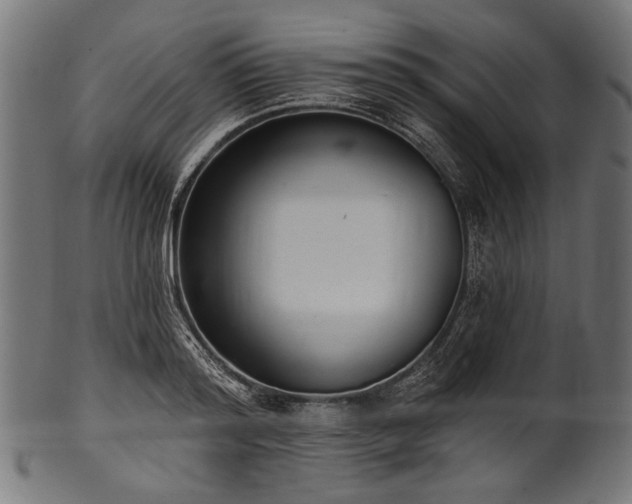 X0000100960796200806241526