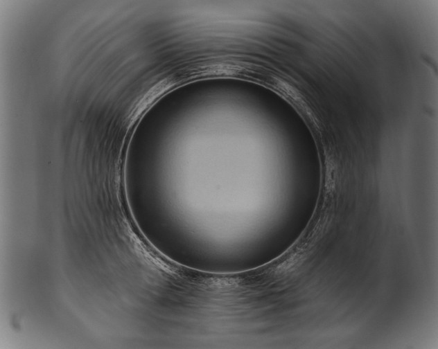 X0000100960802200806241526