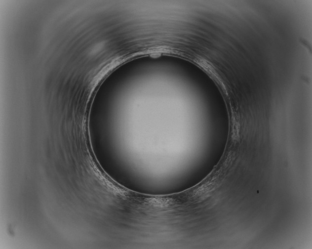 X0000100960805200806241526