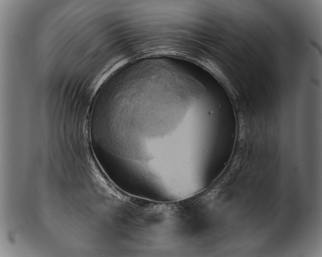 X0000100960806200806241526