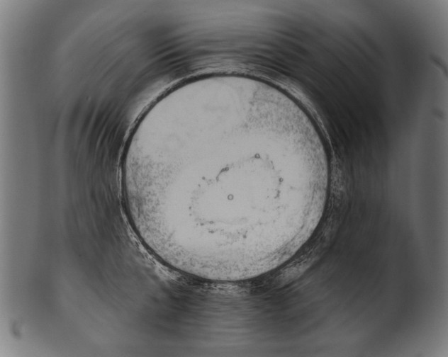 X0000100960807200806241526