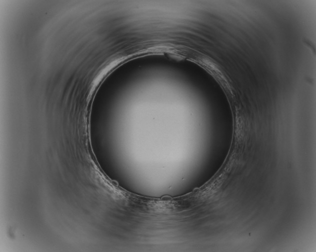 X0000100960808200806241526