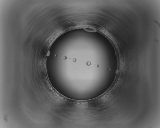 X0000100960809200806241526