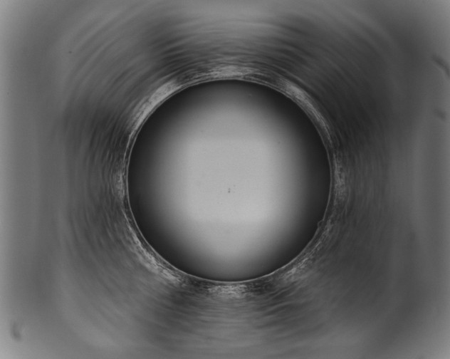 X0000100960810200806241526