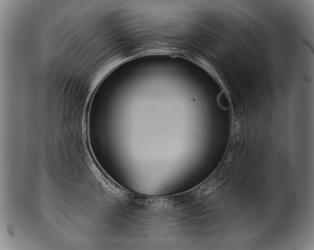 X0000100960811200806241526