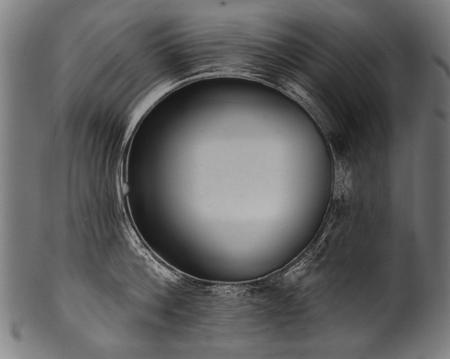 X0000100960812200806241526