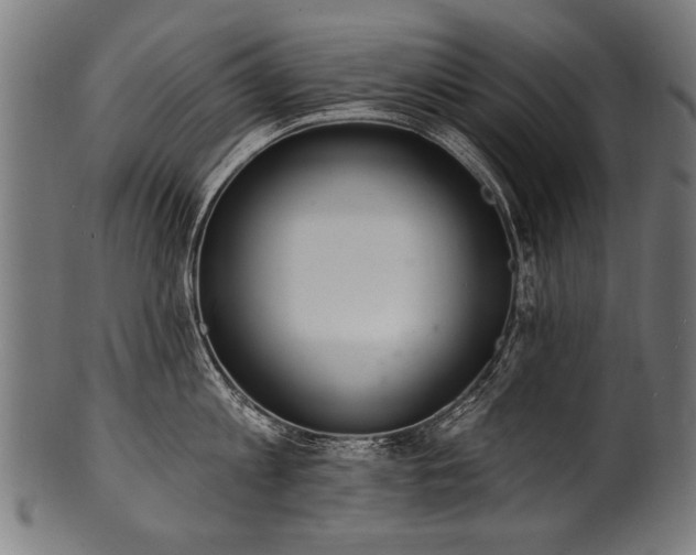 X0000100960813200806241526