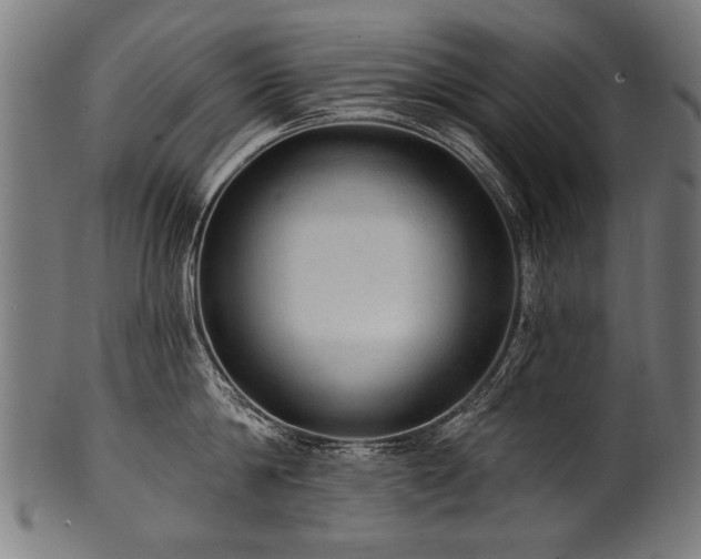 X0000100960814200806241526