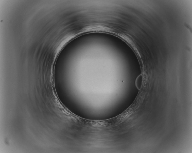 X0000100960815200806241526