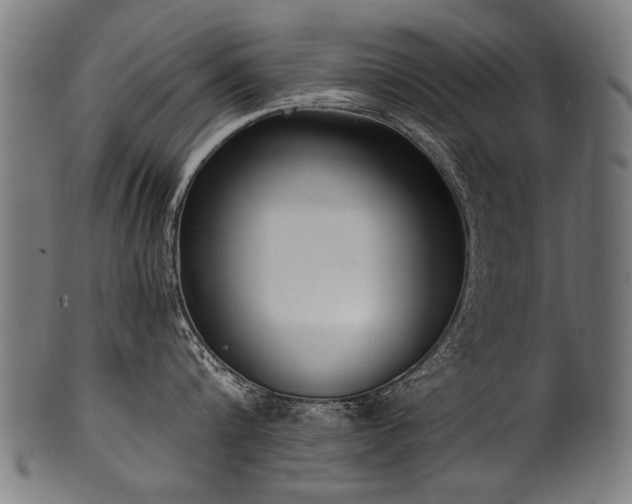 X0000100960816200806241526