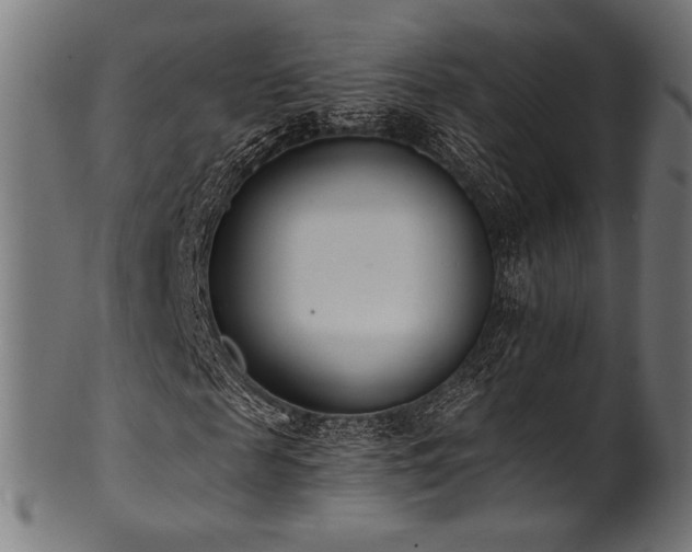 X0000100960817200806241525