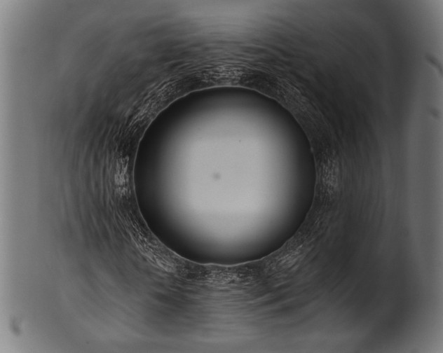 X0000100960818200806241525