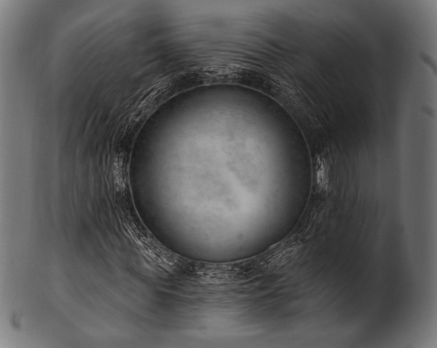X0000100960819200806241525
