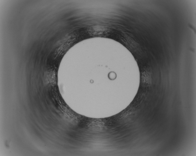 X0000100960820200806241525