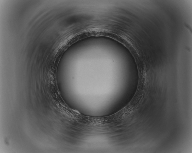 X0000100960823200806241525