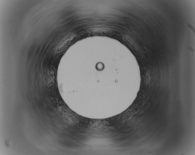 X0000100960824200806241525