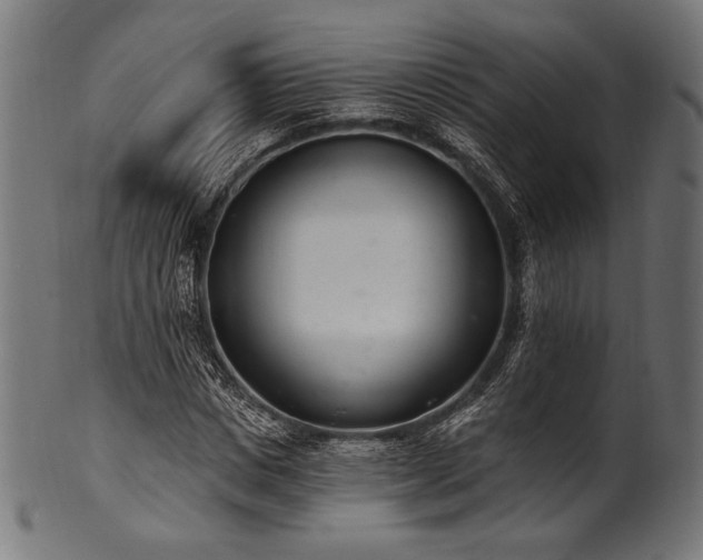 X0000100960825200806241525