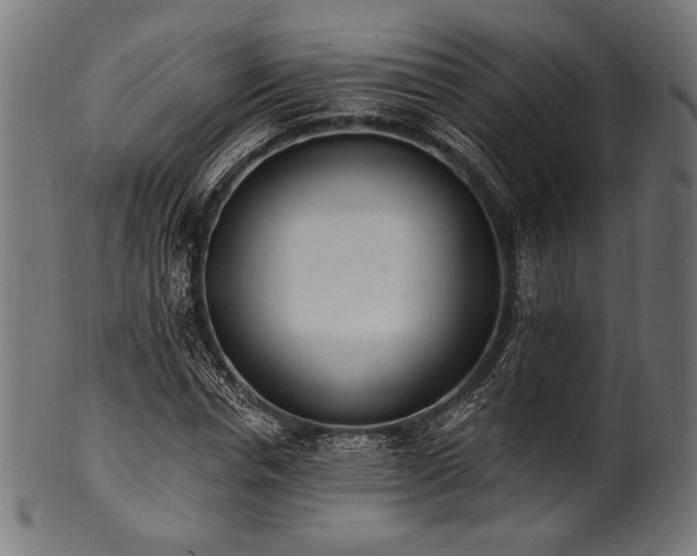 X0000100960826200806241525