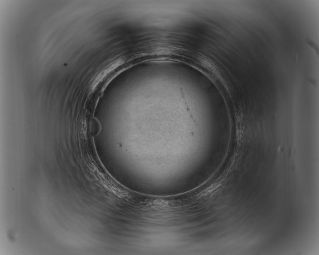 X0000100960827200806241525