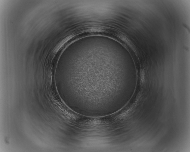 X0000100960829200806241525