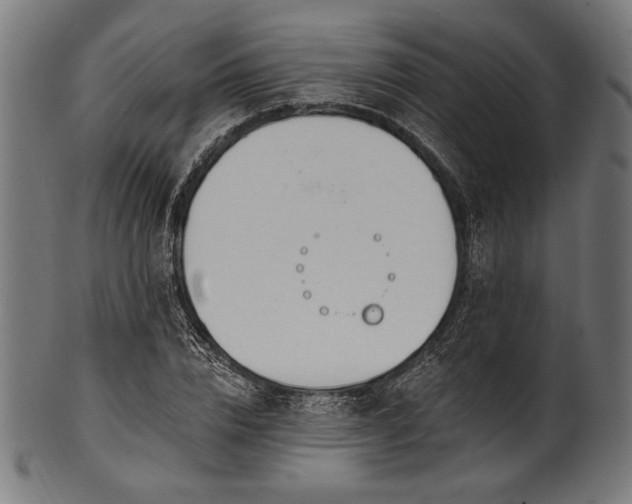 X0000100960832200806241525
