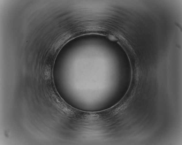 X0000100960833200806241525