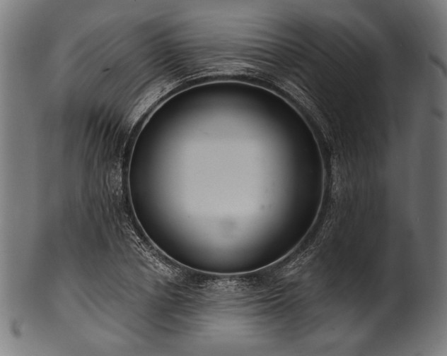 X0000100960834200806241525