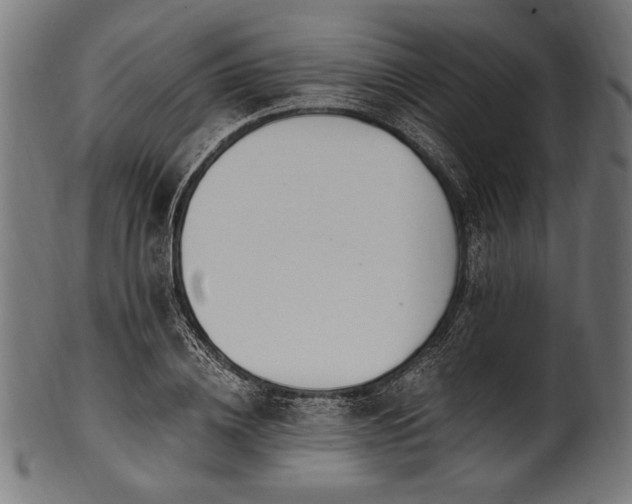 X0000100960836200806241525