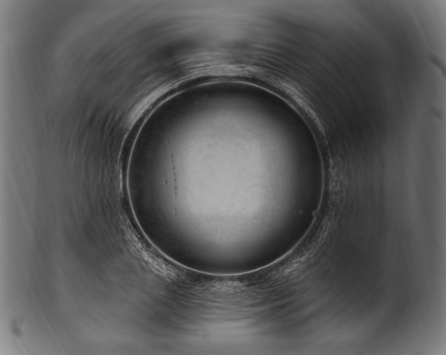 X0000100960837200806241525