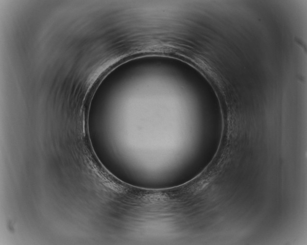 X0000100960838200806241525